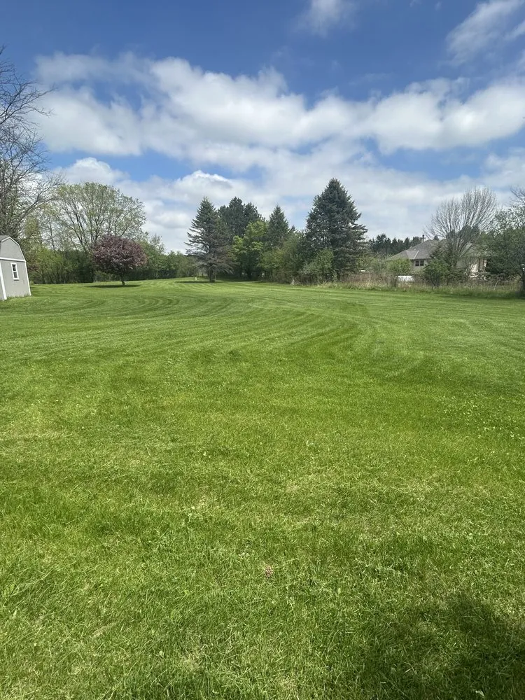 Top-rated yard maintenance for outdoor upgrades in Menomonee Falls, WI by Elite Lawn Care