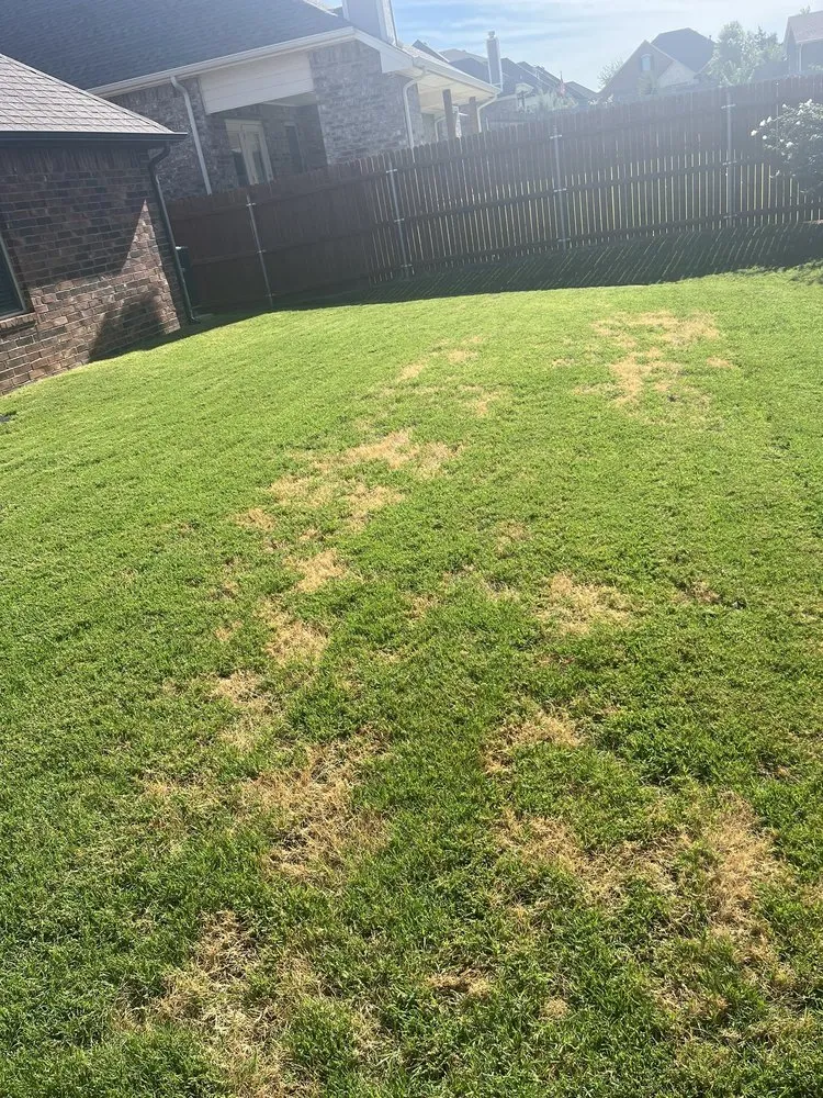 Affordable lawn mowing service experts serving Oklahoma City, OK - Elite Lawn Care