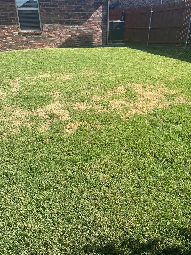 Professional landscaping services for beautiful yards in Oklahoma City, OK by Elite Lawn Care