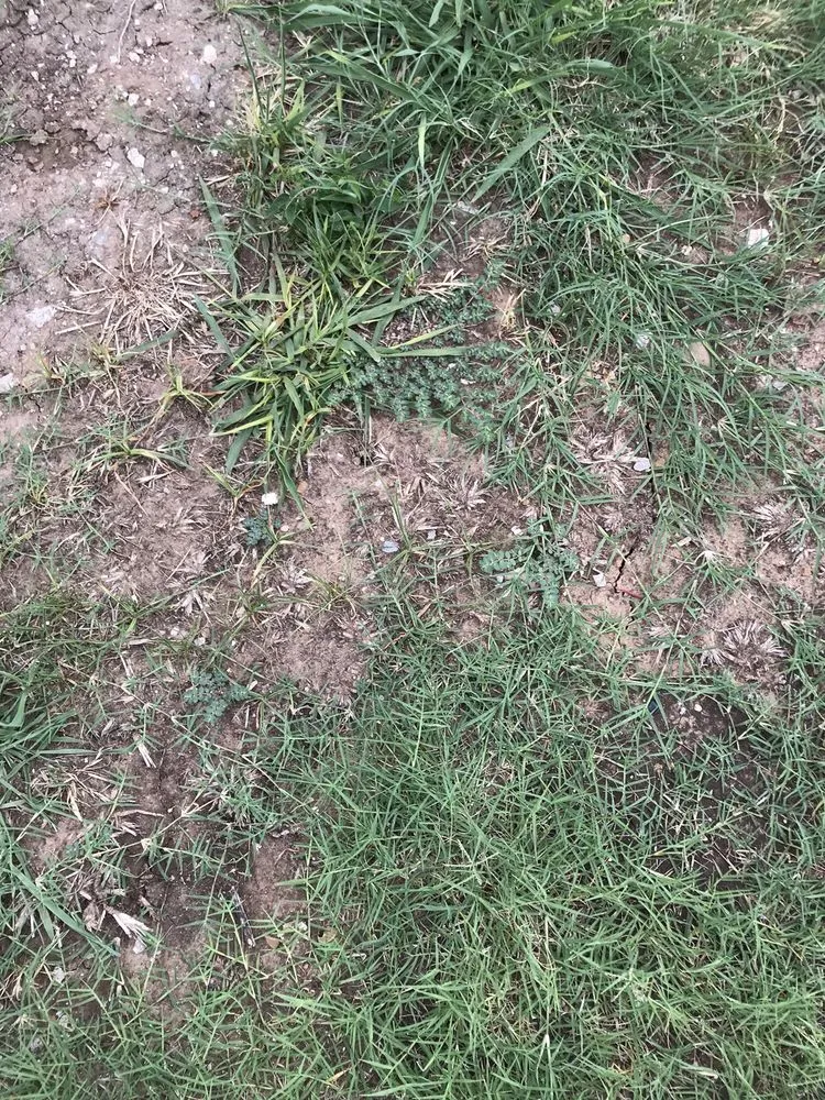 Expert landscape design in Oklahoma City, OK - Elite Lawn Care