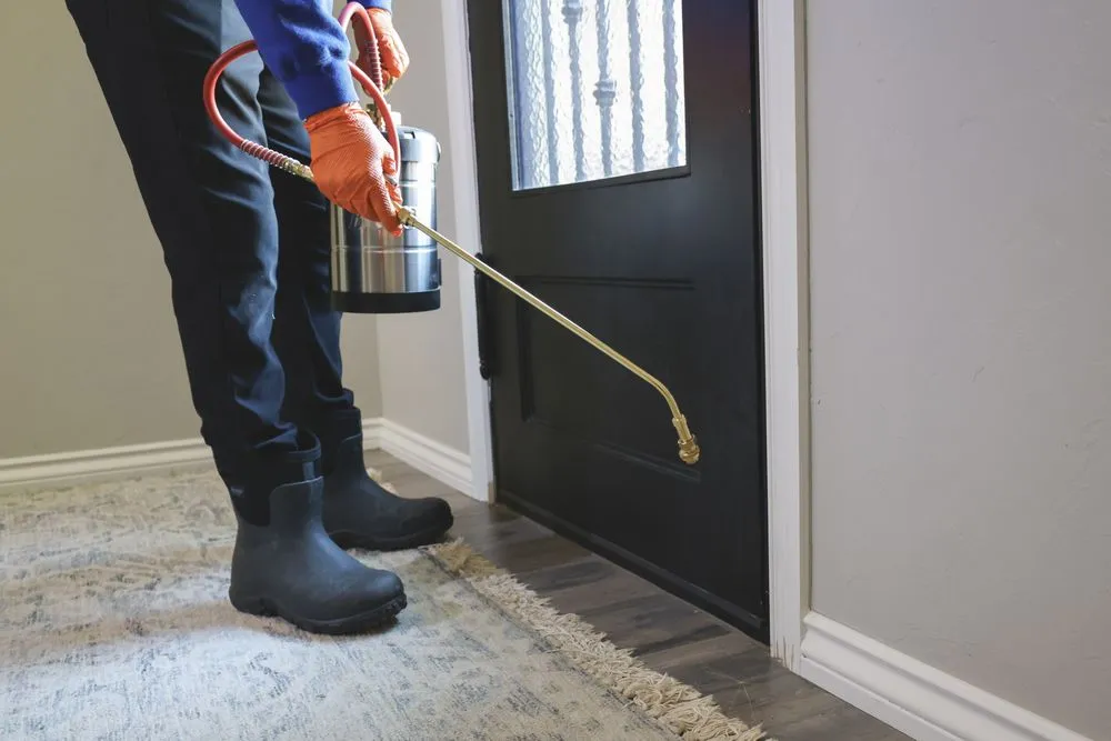 Custom yard cleanup service for outdoor upgrades across Oklahoma City, OK - Elite Lawn Care