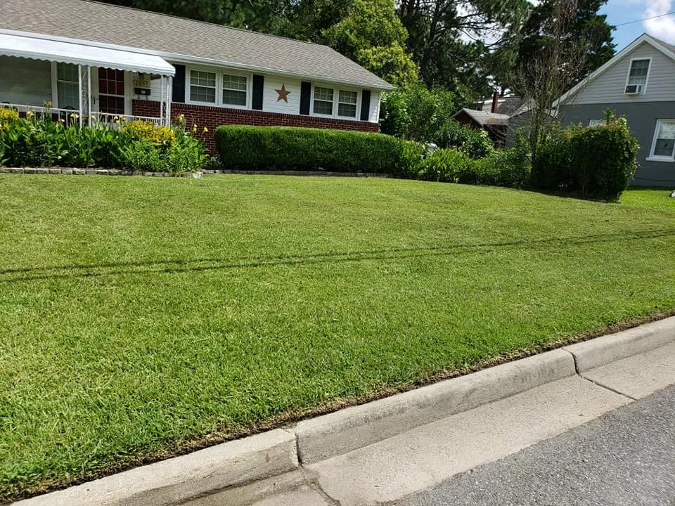 Custom yard cleanup service for year-round maintenance across Norfolk, VA - Elite Lawn Care Plus