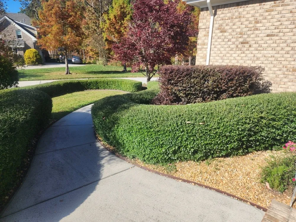 Affordable residential landscaping for year-round maintenance in Norfolk, VA by Elite Lawn Care Plus