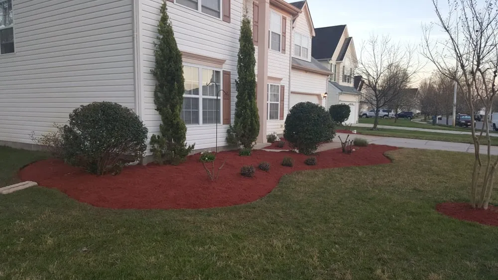 Local yard cleanup service in Norfolk, VA - Elite Lawn Care Plus