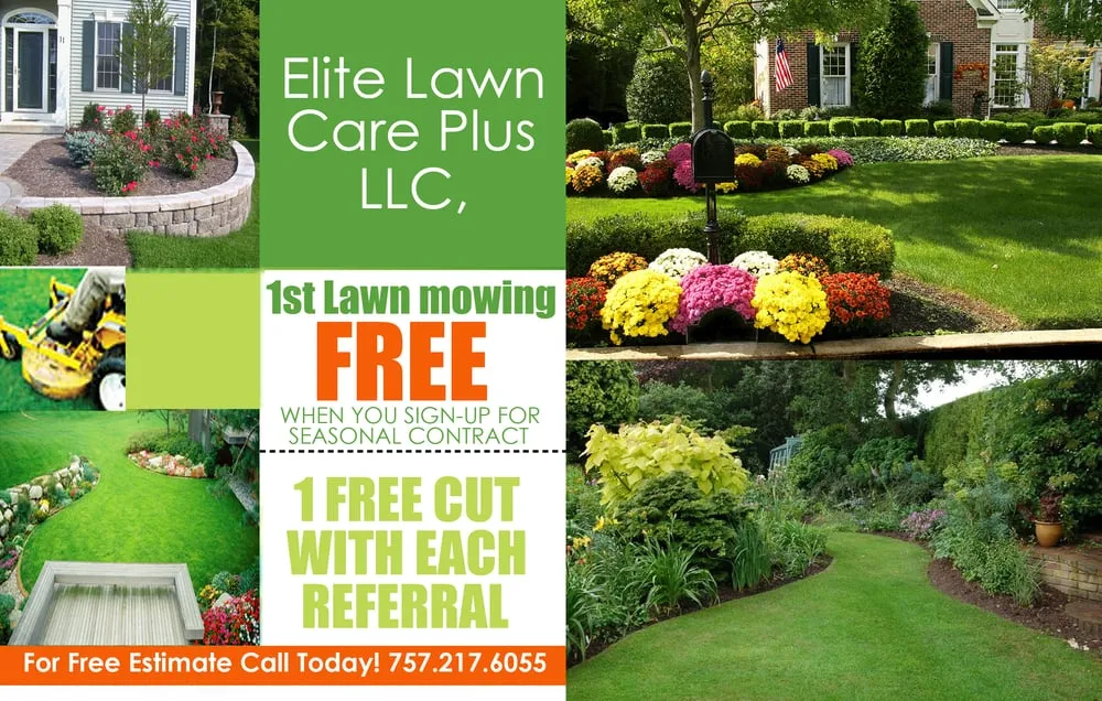 Reliable yard maintenance in Norfolk, VA - Elite Lawn Care Plus
