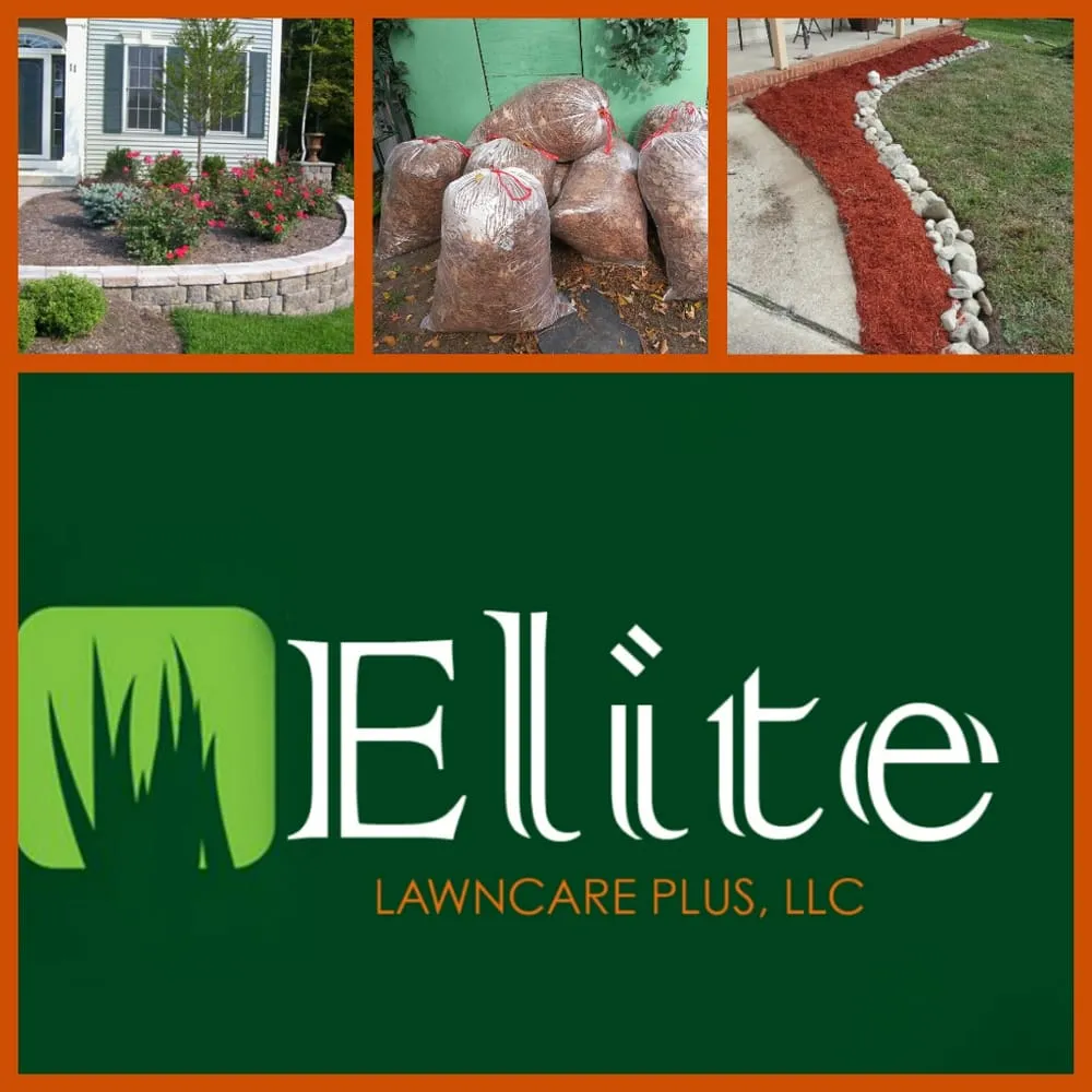Affordable residential landscaping experts serving Norfolk, VA - Elite Lawn Care Plus