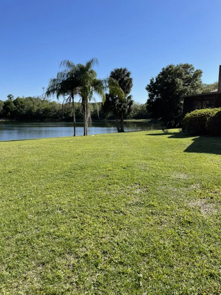 Professional landscape installation for homes in Ojus, FL by Elite lawn care services