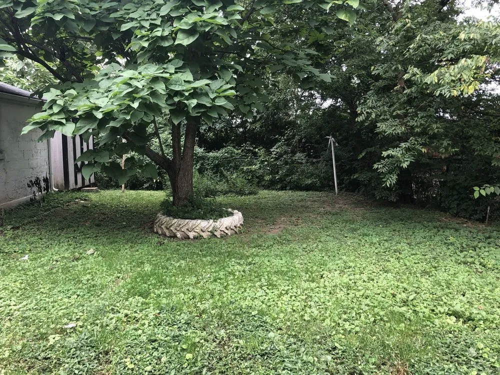 Expert landscape design in Louisville, KY by Elite Lawn Care Specialists