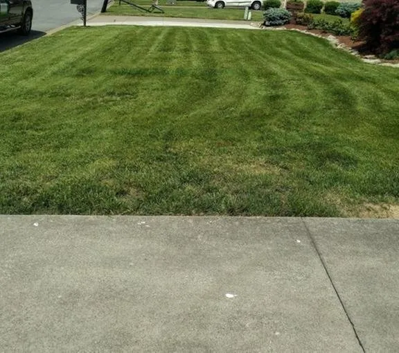 Top-rated landscape design for beautiful yards across Louisville, KY - Elite Lawn Care Specialists