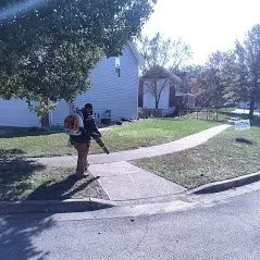 Top-rated landscape installation in Louisville, KY - Elite Lawn Care Specialists