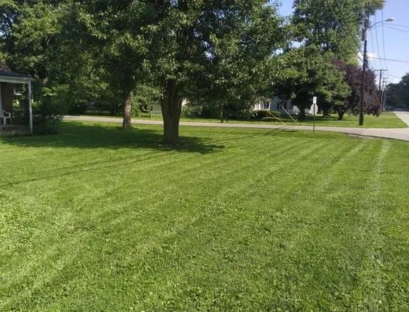 Top-rated lawn mowing service for outdoor upgrades in Louisville, KY by Elite Lawn Care Specialists