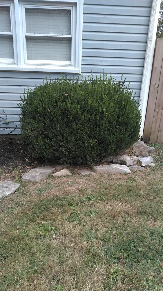 Expert garden landscaping in Louisville, KY by Elite Lawn Care Specialists