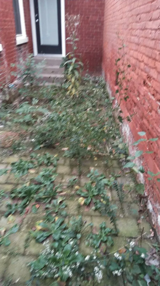 Affordable lawn mowing service near you across Louisville, KY - Elite Lawn Care Specialists