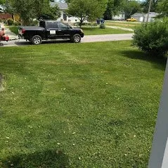 Local garden landscaping for homes in Louisville, KY by Elite Lawn Care Specialists