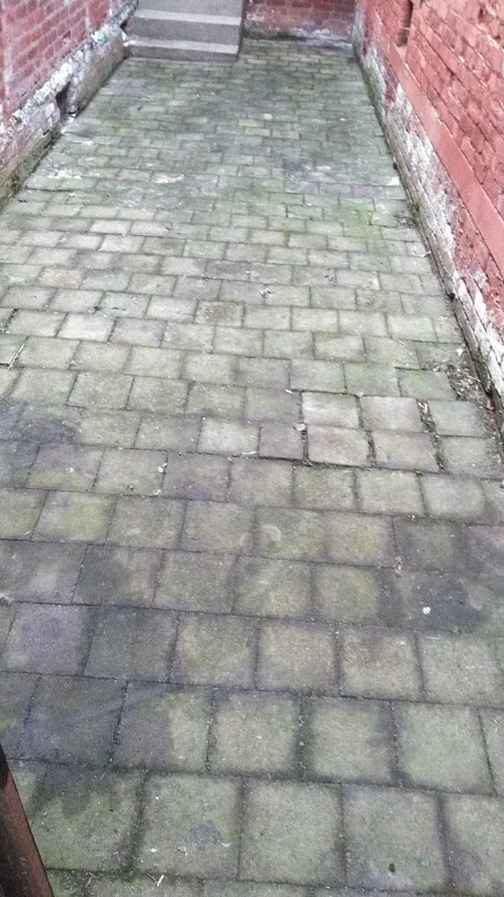 Local residential landscaping in Louisville, KY - Elite Lawn Care Specialists