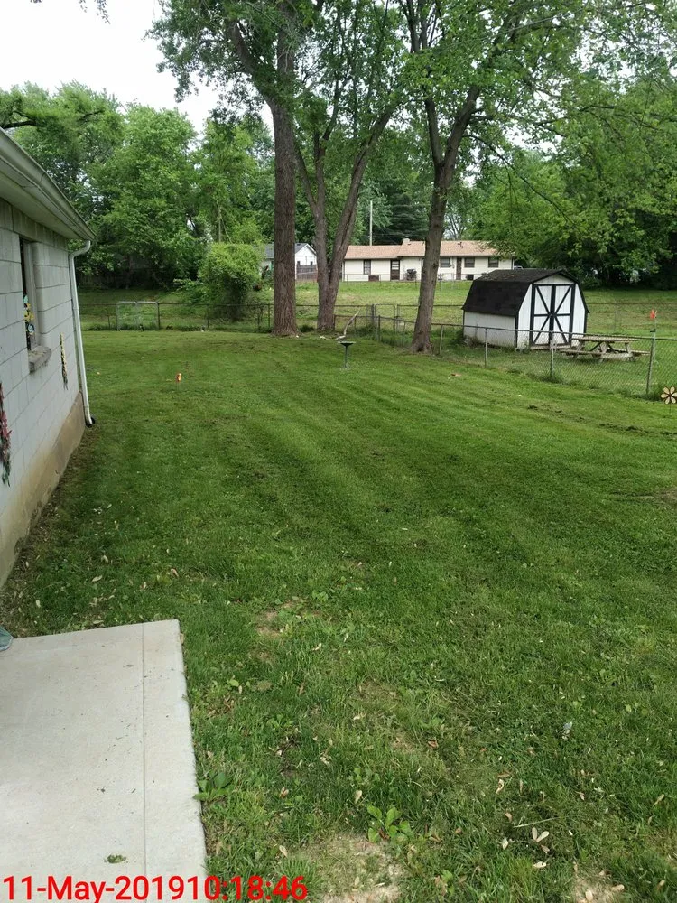 Custom yard cleanup service in Louisville, KY - Elite Lawn Care Specialists