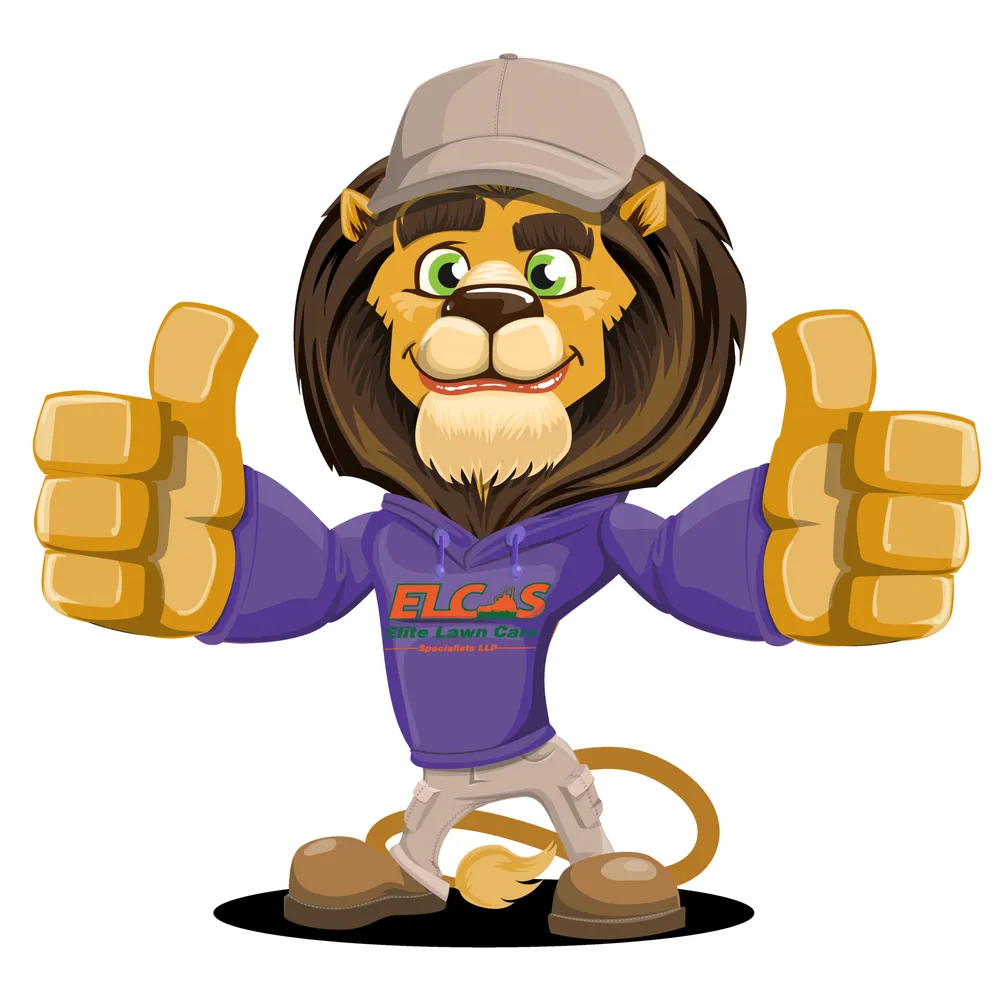 Professional lawn care service for homes in Louisville, KY by Elite Lawn Care Specialists