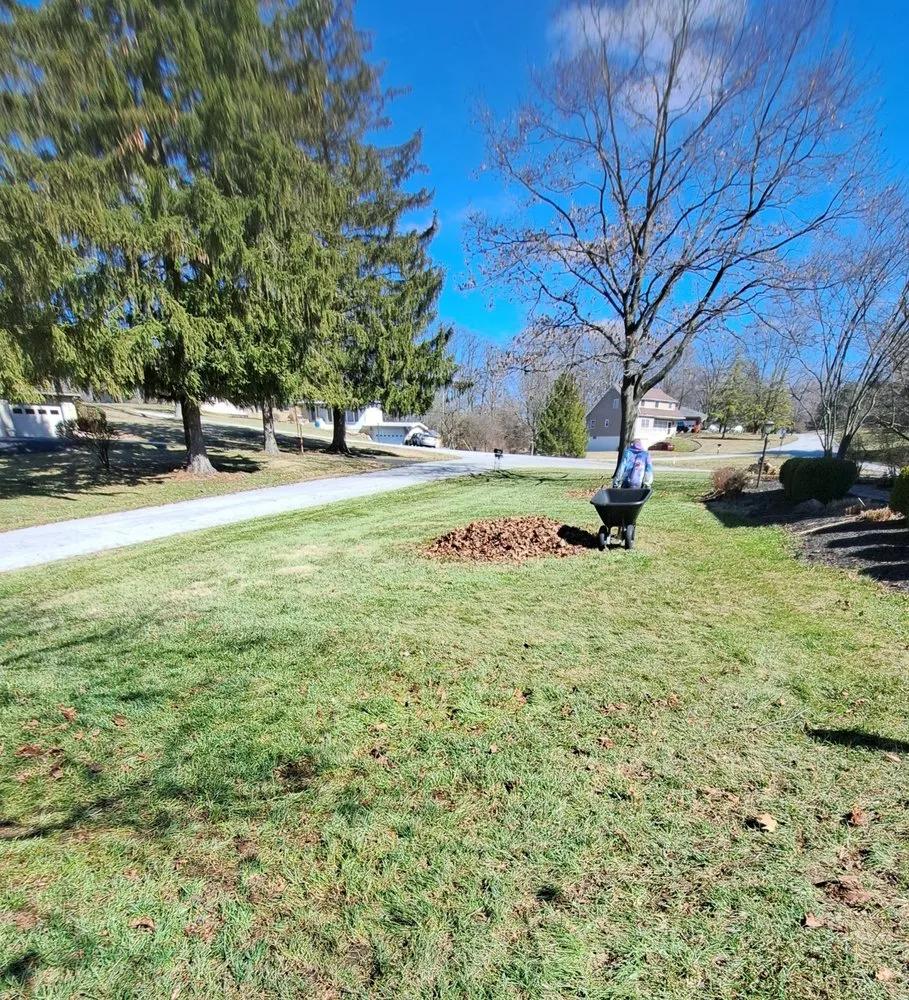 Custom yard cleanup service for residential properties across Springfield, OH - Elite Lawn Care