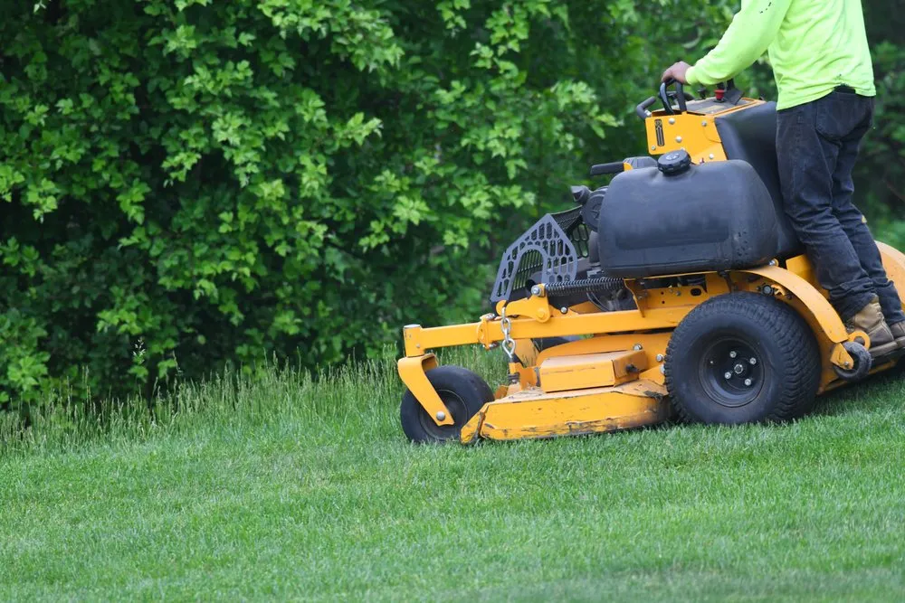 Local landscape installation for year-round maintenance across Wilmington, DE - Elite Lawn Care