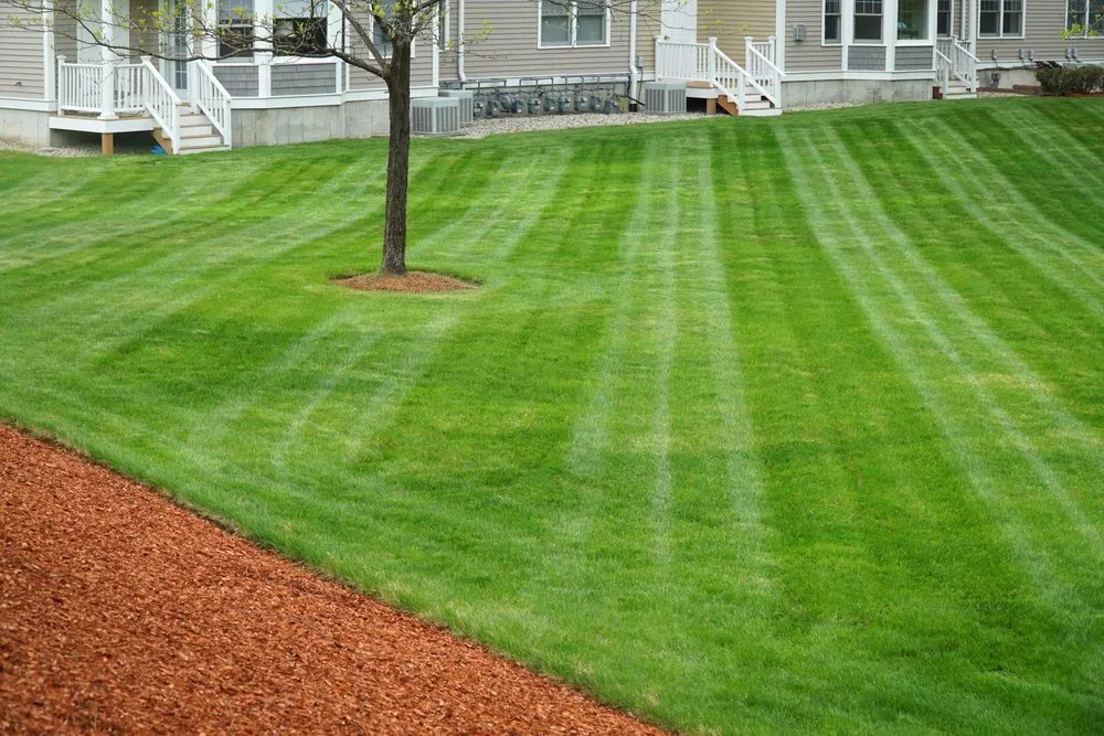 Expert landscaping services in Wilmington, DE by Elite Lawn Care