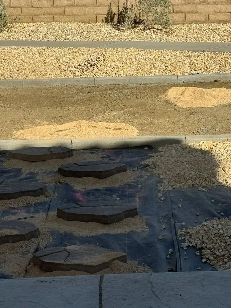 Expert lawn care service with custom design across Palmdale, CA - Elite Lawn Design