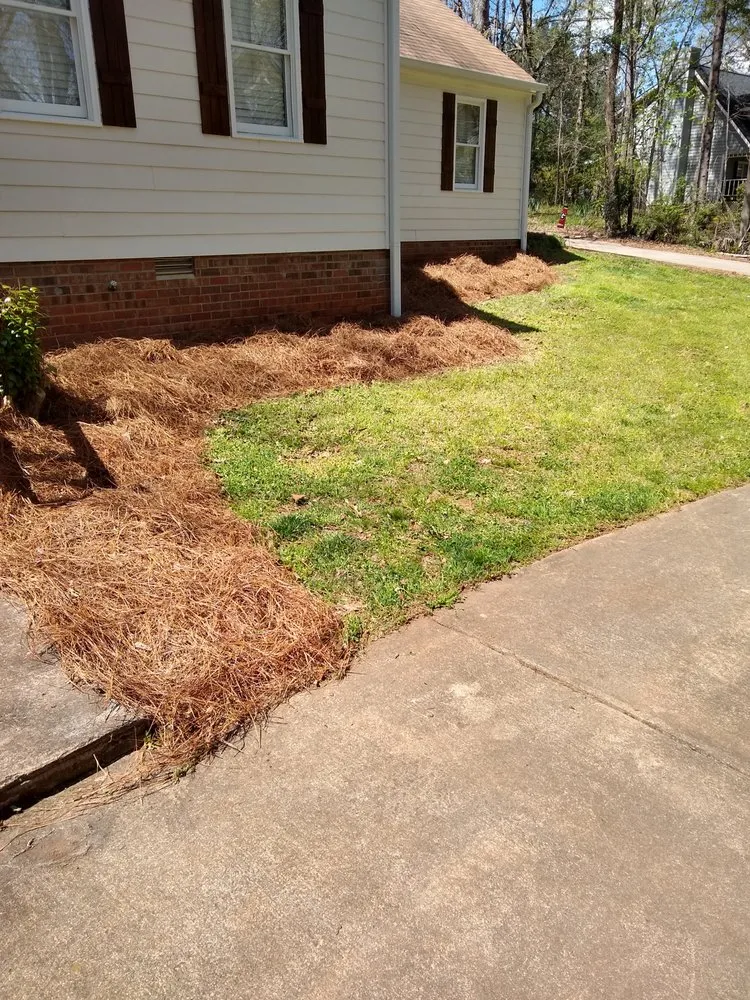 Custom lawn care service experts serving Athens, GA - Elite Lawn Maintenance