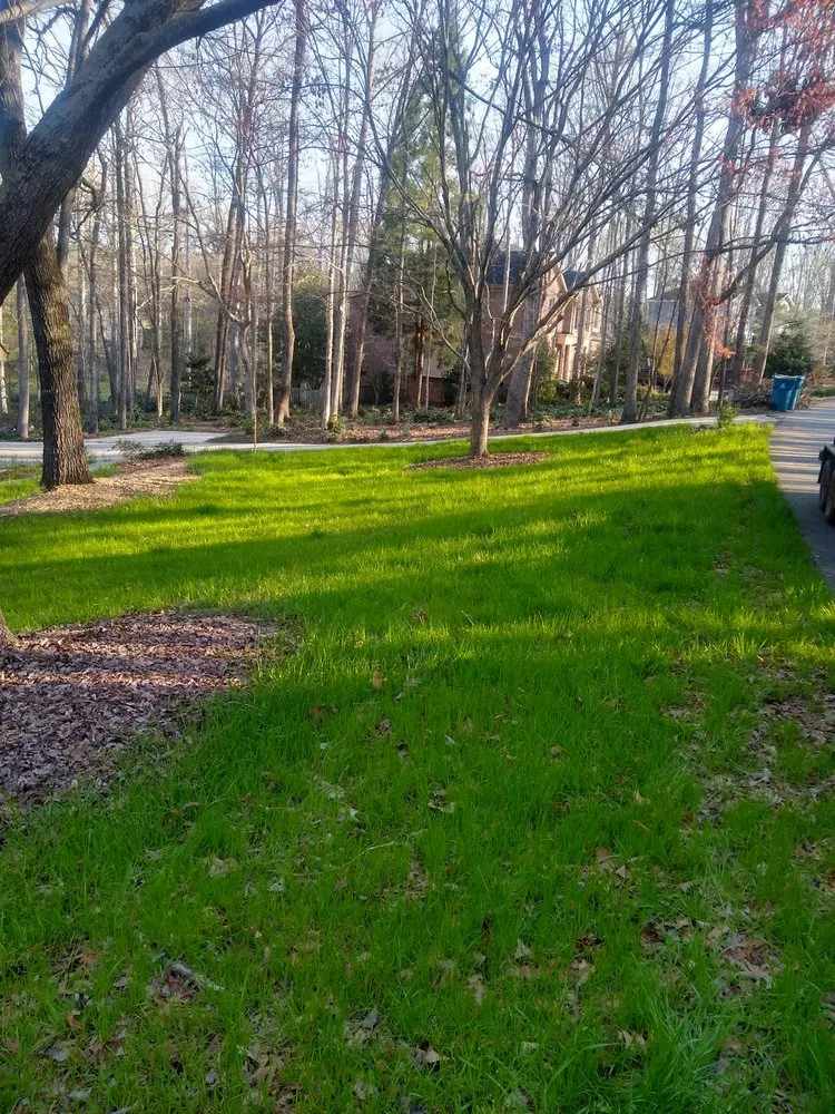 Expert landscape installation in Athens, GA by Elite Lawn Maintenance