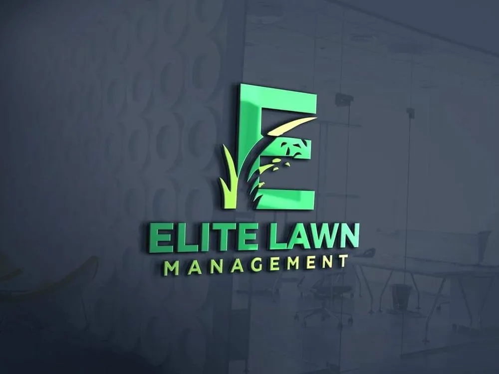 Custom landscape design in Central, SC by Elite Lawn Management