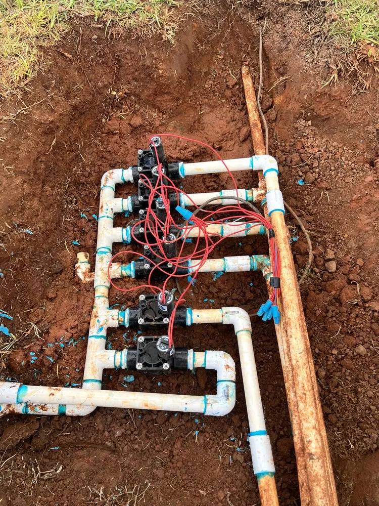 Custom lawn mowing service in Dothan, AL by Elite Lawn Management