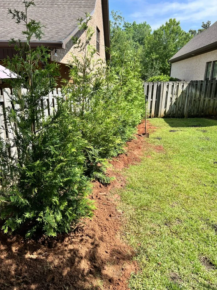 Affordable landscape installation experts serving Dothan, AL - Elite Lawn Management