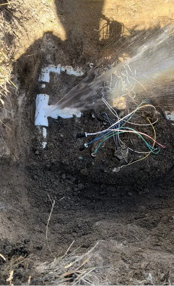 Reliable yard cleanup service experts serving Dothan, AL - Elite Lawn Management