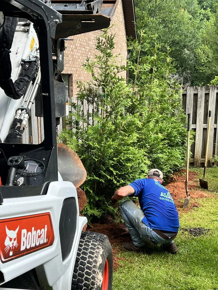 Trusted garden landscaping for year-round maintenance in Dothan, AL by Elite Lawn Management