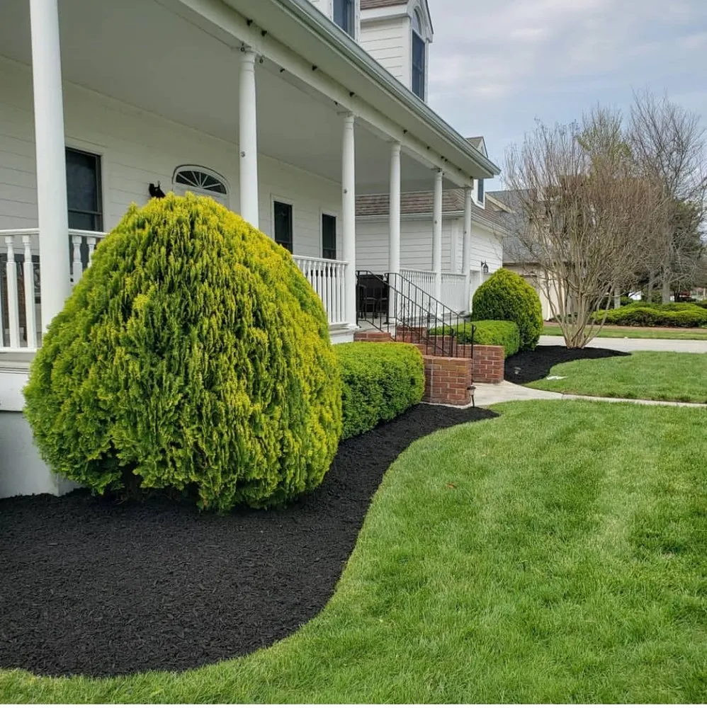 Top-rated residential landscaping experts serving Dothan, AL - Elite Lawn Management