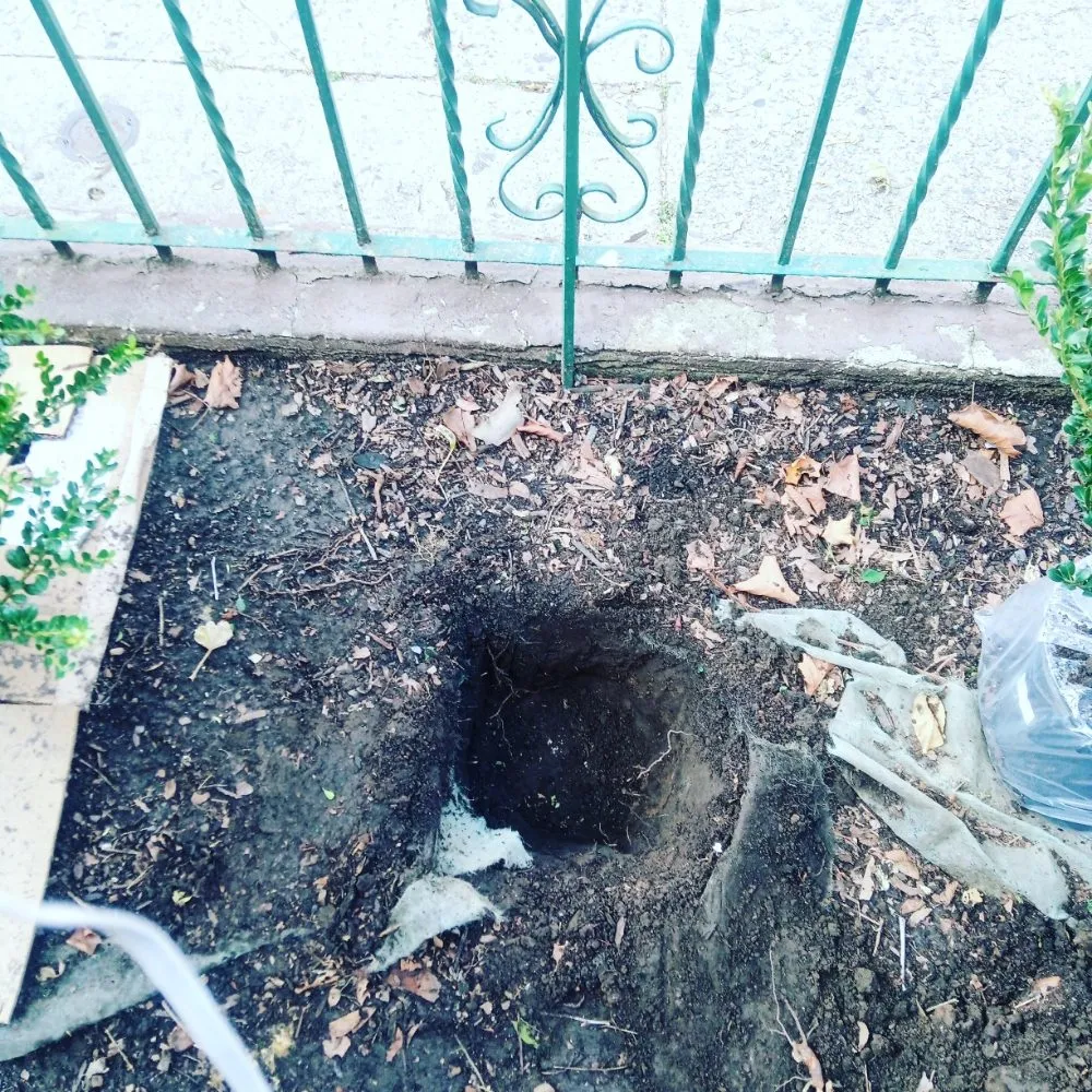 Local landscape installation in New York, NY - Elite Lawn Pro