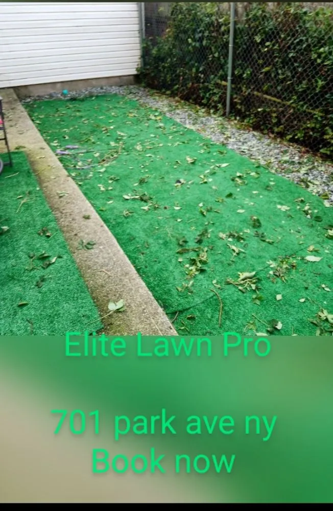 Professional yard cleanup service for outdoor upgrades across New York, NY - Elite Lawn Pro