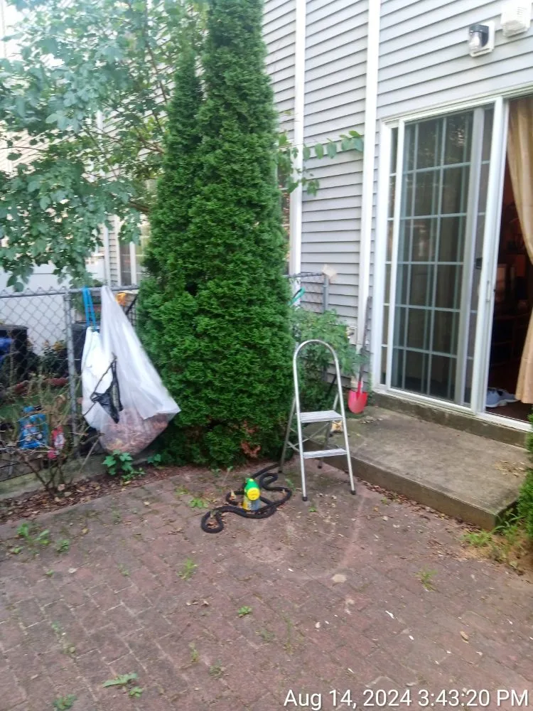 Top-rated lawn mowing service in New York, NY by Elite Lawn Pro