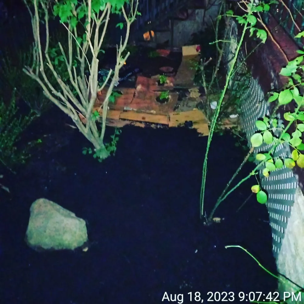 Expert lawn care service experts serving New York, NY - Elite Lawn Pro