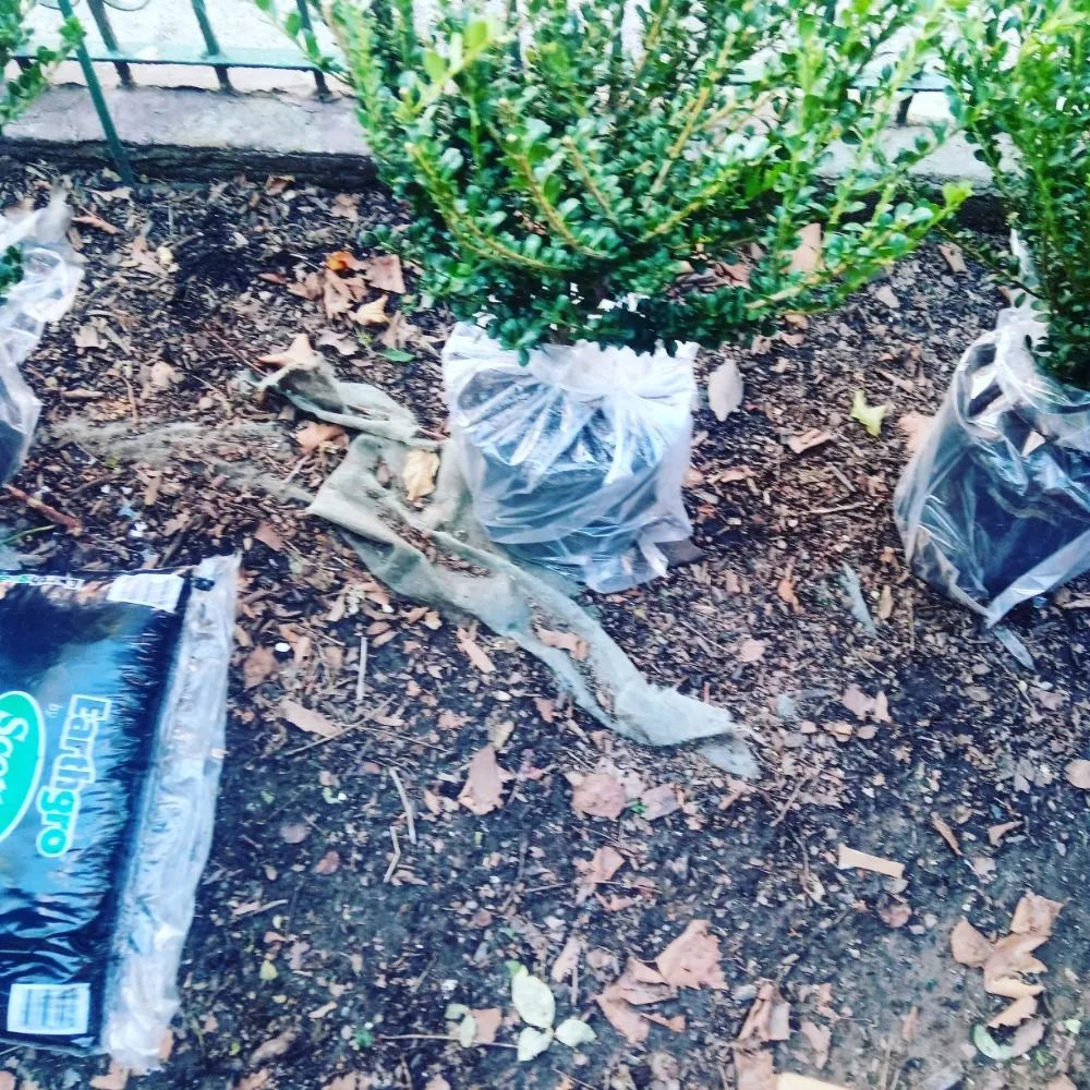 Expert landscape design near you across New York, NY - Elite Lawn Pro