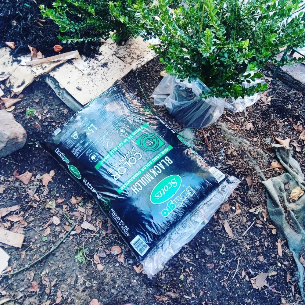 Professional yard cleanup service in New York, NY - Elite Lawn Pro