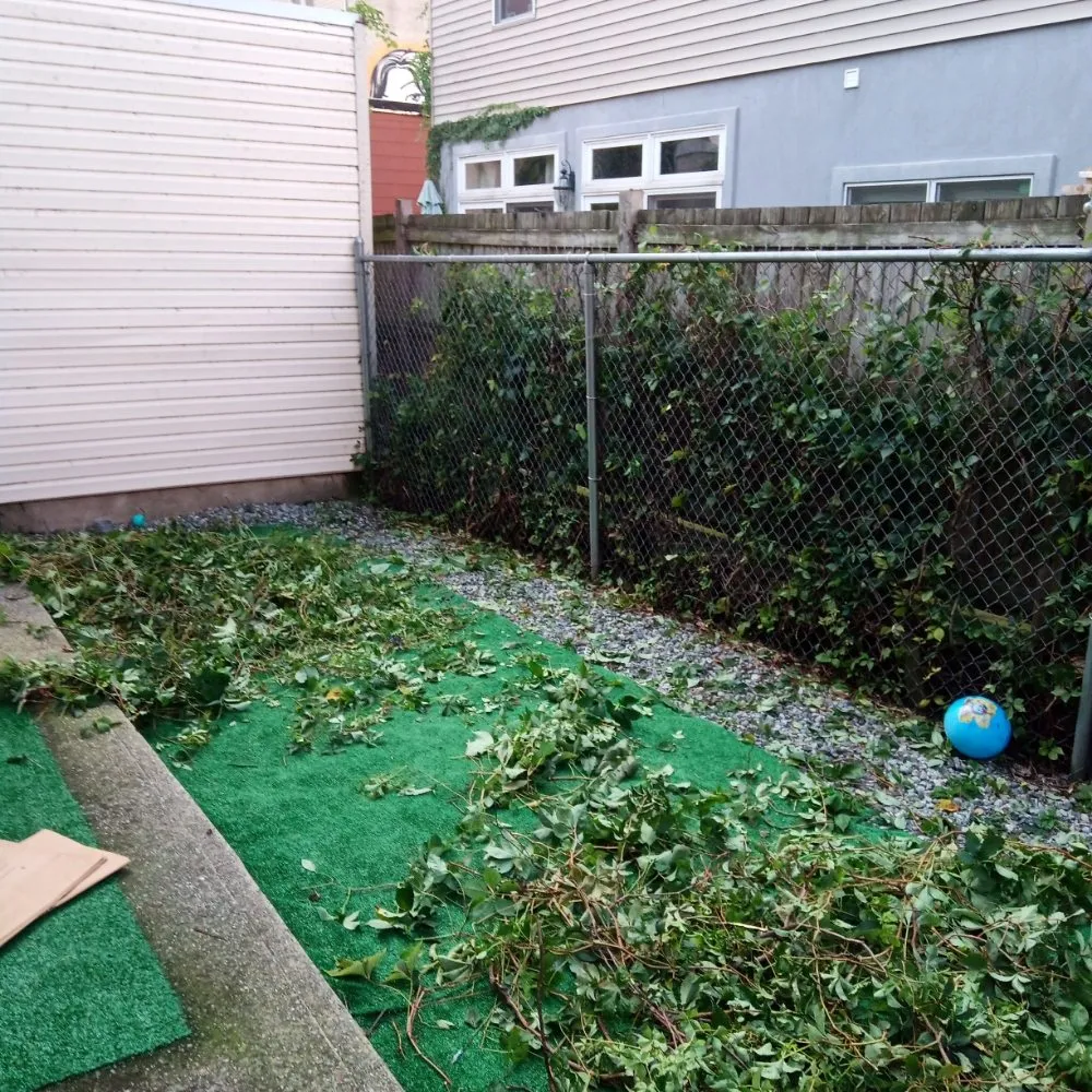 Expert garden landscaping in New York, NY by Elite Lawn Pro