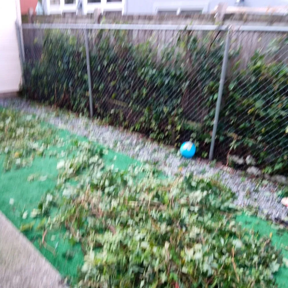 Expert landscape installation in New York, NY - Elite Lawn Pro