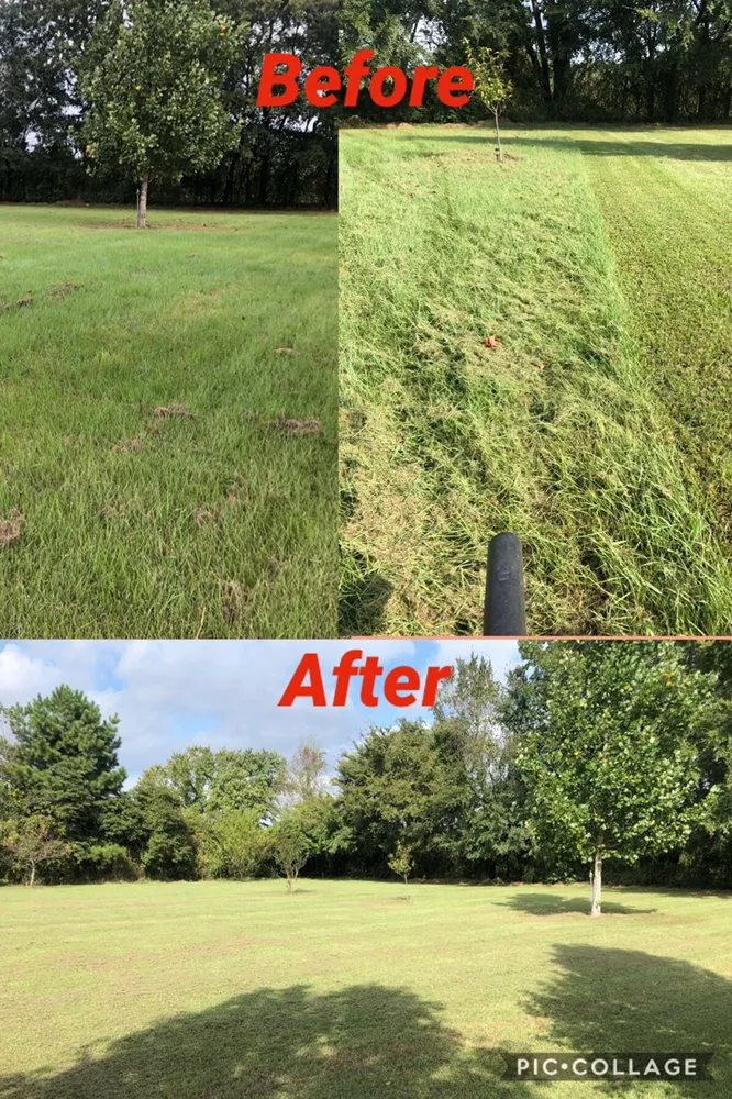 Reliable garden landscaping in Cabot, AR by Elite Lawn Pros