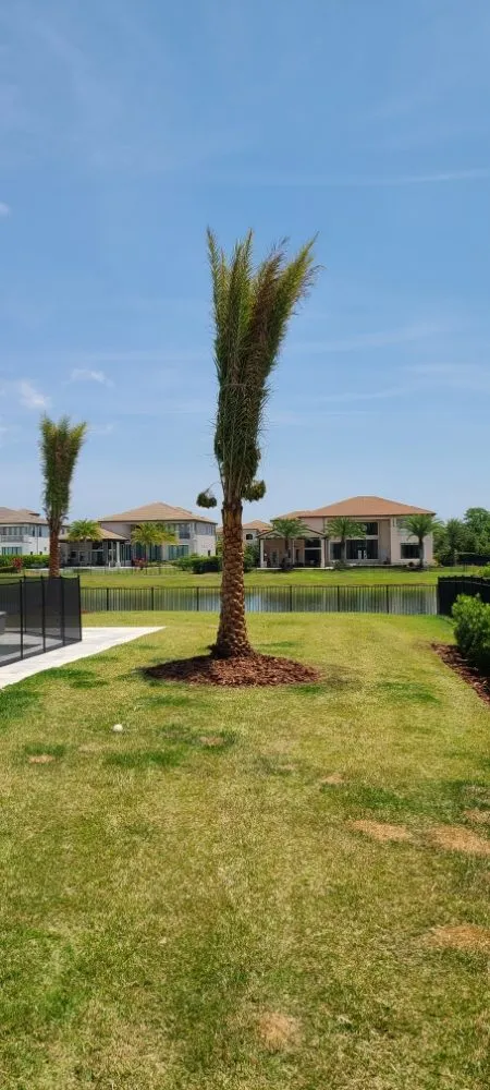 Local landscape design in Kissimmee, FL - Elite Lawn Pros