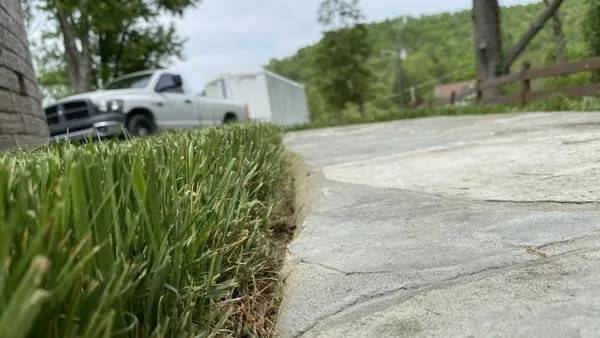 Elite Lawn Service And Landscaping