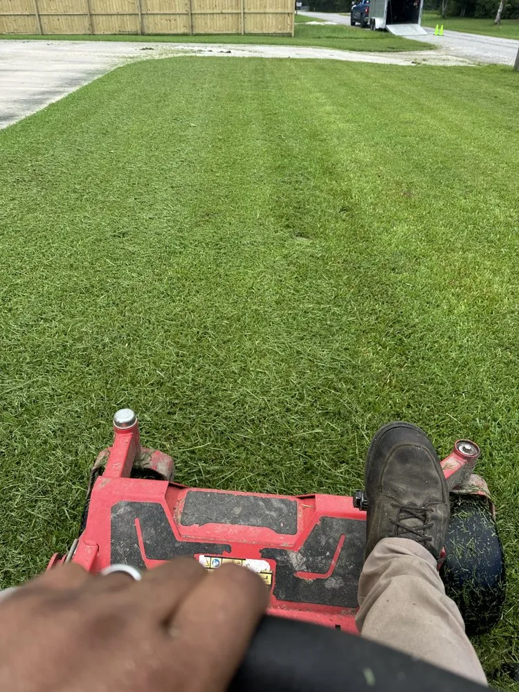 Trusted yard cleanup service experts serving Brookshire, TX - Elite lawn service