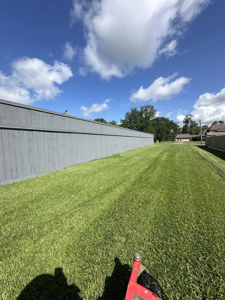 Affordable yard cleanup service in Brookshire, TX - Elite lawn service