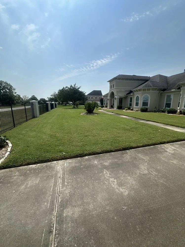 Affordable yard cleanup service for outdoor upgrades across Brookshire, TX - Elite lawn service