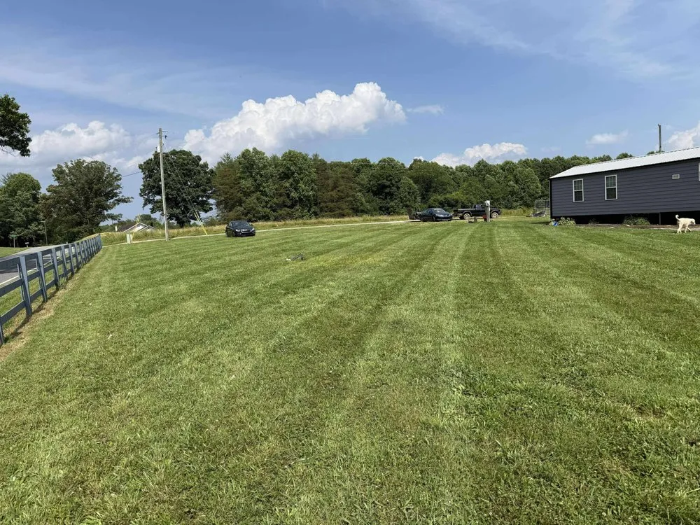 Top-rated yard cleanup service for homes in Ronda, NC by Elite Lawn Service
