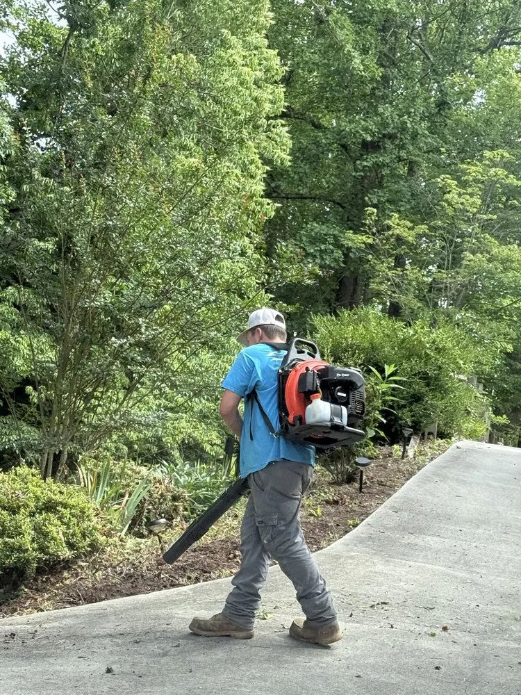 Reliable residential landscaping in Ronda, NC by Elite Lawn Service