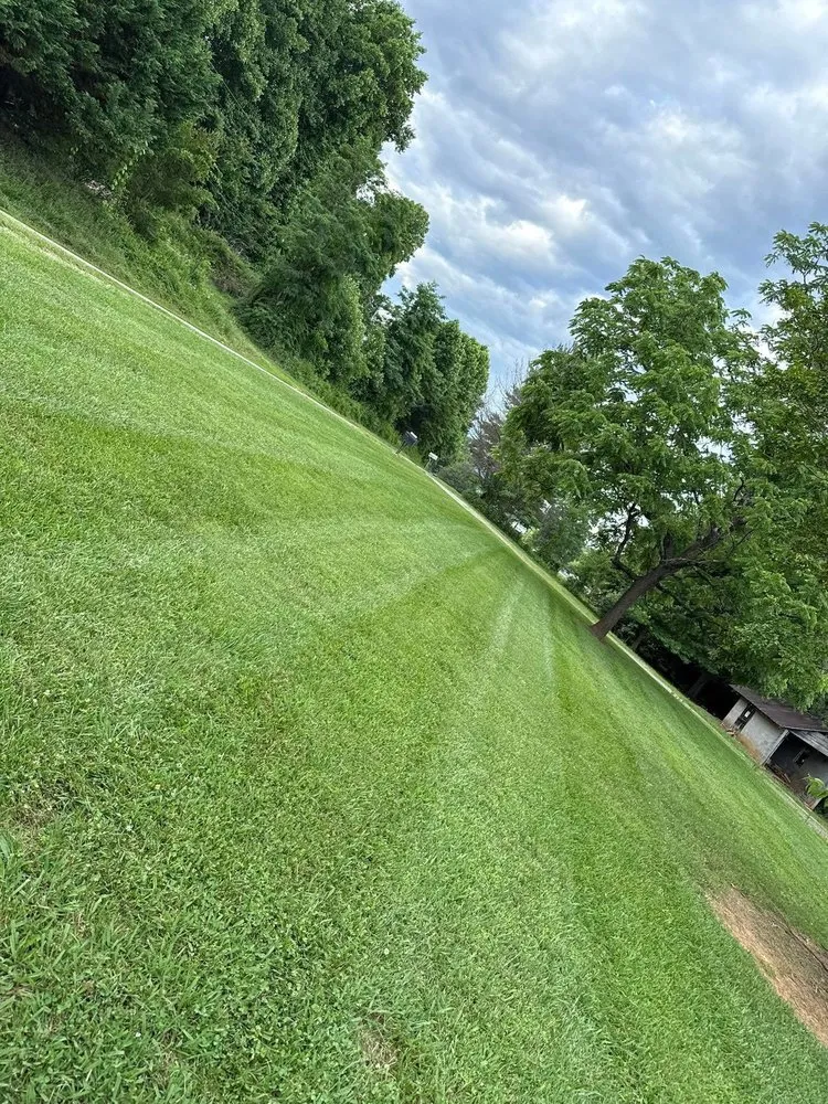 Expert garden landscaping for year-round maintenance in Ronda, NC by Elite Lawn Service